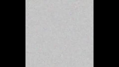 miamiboy936371 online show from November 2025 05:12:01 PM