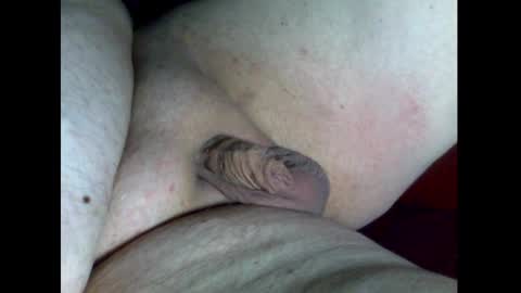 micropimmel online show from December 2024 07:05:01 PM