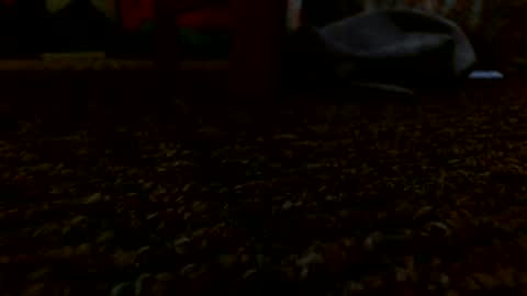 Miggy online show from December 2024 05:55:02 PM