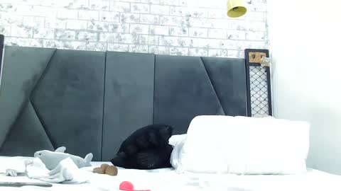 Snapshot of mila_adamss chatting on January 2025 05:01:01 PM mila_adamss online show from January 2025 05:01:01 PM