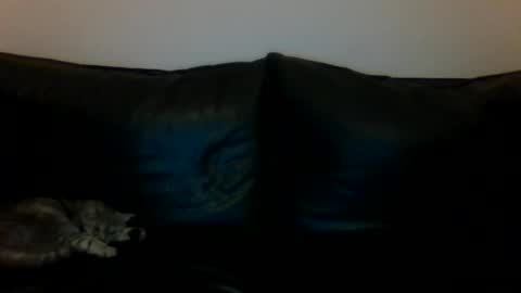 Snapshot of milagaborxx chatting on November 2025 06:24:02 PM MilaGabor online show from November 2025 06:24:02 PM