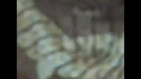 Snapshot of milfpussyeatdeep chatting on December 2024 09:06:02 PM milfpussyeatdeep online show from December 2024 09:06:02 PM