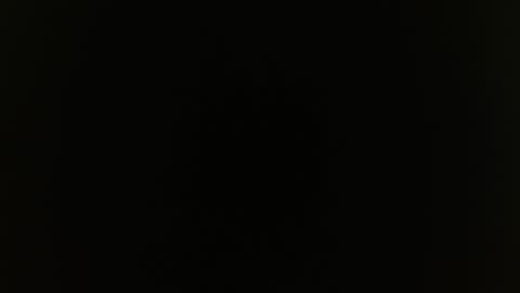 Rosalie  online show from January 2025 09:45:02 AM