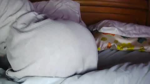 Snapshot of milfytitts chatting on October 2025 12:39:01 PM MilfyTitts online show from October 2025 12:39:01 PM
