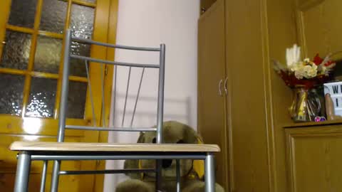 Snapshot of milk_and_hon3y chatting on December 2024 06:11:02 AM Im to see you here Pvts are open I love patterns soo much online show from December 2024 06:11:02 AM