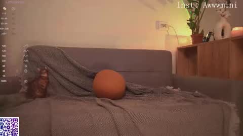 Snapshot of minirini chatting on November 2025 03:56:01 PM Rina online show from November 2025 03:56:01 PM