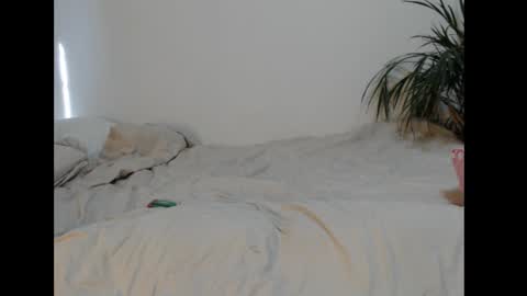 Elora online show from February 2025 07:23:02 AM