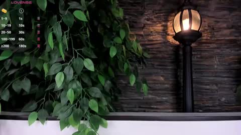 Snapshot of miss_danika chatting on February 2025 11:01:02 AM Danika online show from February 2025 11:01:02 AM