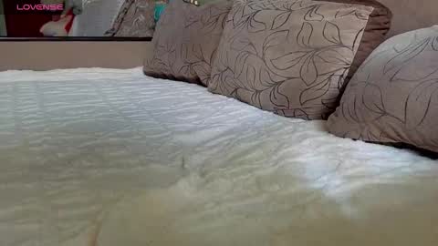 ................................ online show from October 2025 08:15:02 AM