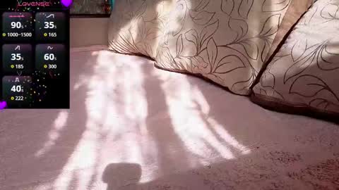 ................................ online show from October 2025 07:41:02 AM