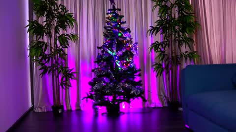 misskiarra online show from December 2024 07:43:01 AM