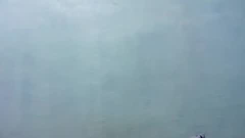 Merry online show from November 2025 08:14:02 AM