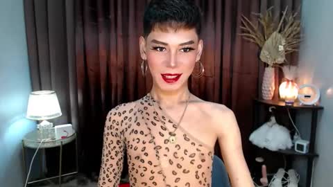 Stella online show from September 2025 07:41:01 AM