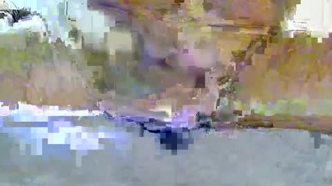 Snapshot of mistereman85 chatting on September 2025 12:43:01 AM Mystery Man online show from September 2025 12:43:01 AM