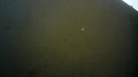 mlkklm47 online show from January 2025 07:39:02 PM