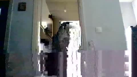 mmpempis81 online show from February 2025 07:12:02 AM