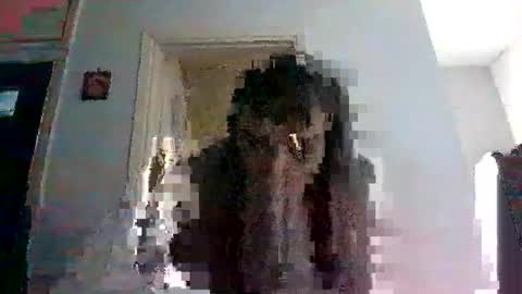 mmpempis81 online show from February 2025 06:47:02 AM