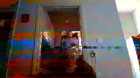 mmpempis81 online show from March 2025 04:11:01 PM