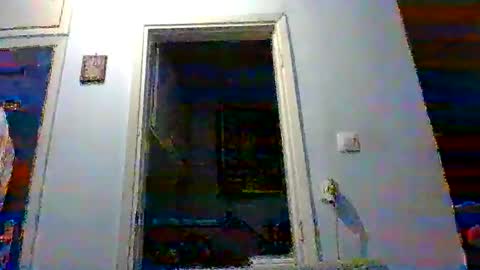 mmpempis81 online show from November 2025 05:03:01 PM