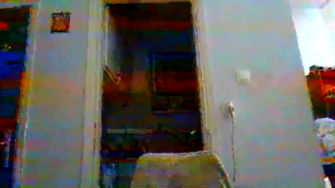 mmpempis81 online show from November 2025 03:56:01 PM