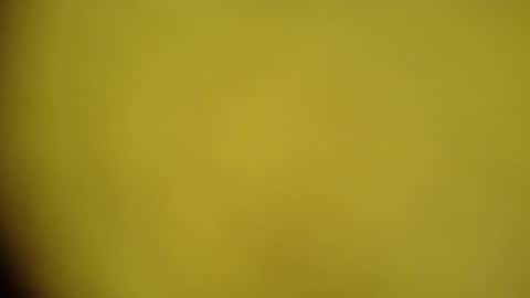 mohamedasif123 online show from January 2025 06:22:02 AM