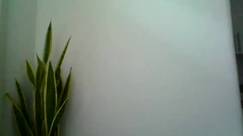 Snapshot of mollypepe chatting on September 2025 09:42:02 AM mollypepe online show from September 2025 09:42:02 AM