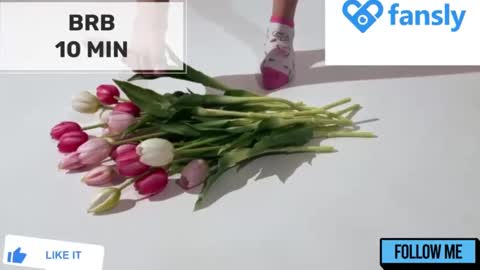 Mommy online show from December 2024 02:15:01 AM