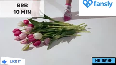 Mommy online show from December 2024 05:15:01 AM