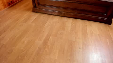 Monika NO c2c ever. PVT free Naked Fingering pussy doggy or standing BJ HJ Feet Fashion. PVT extra Toy control 400tk. online show from January 2025 07:29:02 PM