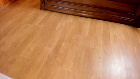 Monika NO c2c ever. PVT free Naked Fingering pussy doggy or standing BJ HJ Feet Fashion. PVT extra Toy control 400tk. online show from January 2025 07:39:01 PM