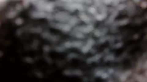 BouncyBoner online show from September 2025 11:04:01 PM
