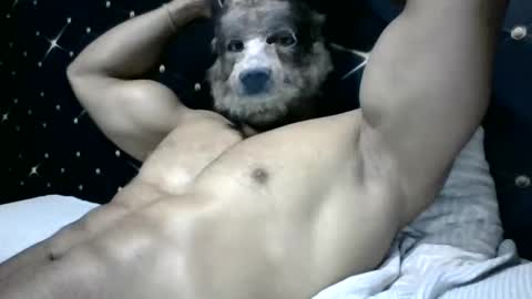 moreno1muscular online show from March 2025 09:11:02 PM