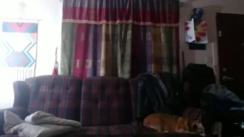 Snapshot of mr_happy12 chatting on November 2025 11:49:02 PM mr_happy12 online show from November 2025 11:49:02 PM