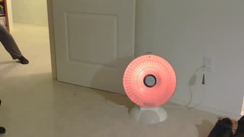 Snapshot of mrf388 chatting on November 2025 12:33:01 PM IwantU2WatchME online show from November 2025 12:33:01 PM