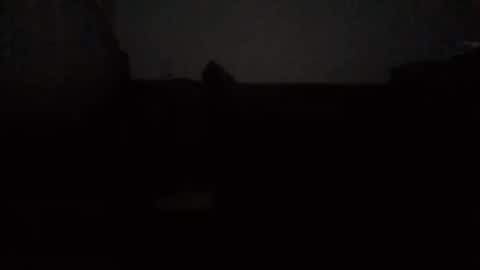 Nikola online show from October 2025 12:44:01 AM