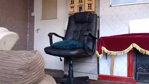 Mr. Dan online show from November 2025 12:37:02 PM