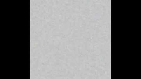 Snapshot of mrsuction chatting on December 2025 12:47:02 PM Mr Suction online show from December 2025 12:47:02 PM