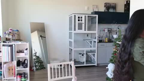 R o r i  SnapChat heyroriv2 wednesday - sunday Noon oclock mountain - 5pm mountain online show from October 2025 06:35:02 PM