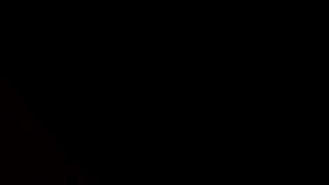 MsPurrfectLove online show from December 2024 03:51:01 AM