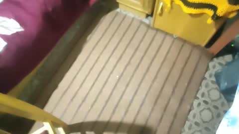 zenon online show from October 2025 02:50:02 AM