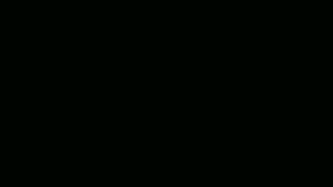 Sam online show from February 2025 04:49:01 AM