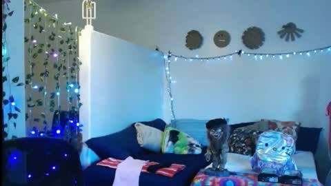 Snapshot of mycock4u247 chatting on February 2025 01:00:02 AM LA MARIPOSA DE MARICOPA online show from February 2025 01:00:02 AM