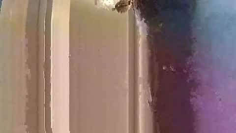 mydaysucks online show from October 2025 05:15:02 AM
