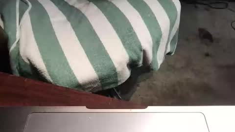 mythickness online show from January 2025 01:56:01 AM