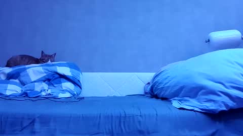 Snapshot of n3philim999 chatting on October 2025 10:09:01 PM n3philim999 online show from October 2025 10:09:01 PM