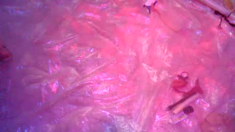nakednate1780 online show from December 2024 06:22:01 AM