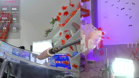 Snapshot of nancy_winter chatting on November 2025 12:28:01 PM INSTAGRAM bekkercat online show from November 2025 12:28:01 PM