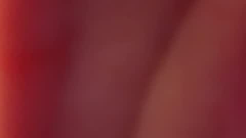 Nancy and Archi online show from December 2024 07:52:02 AM