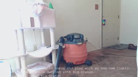 Snapshot of nannabaldur chatting on December 2025 04:01:01 PM Nanna Baldur online show from December 2025 04:01:01 PM