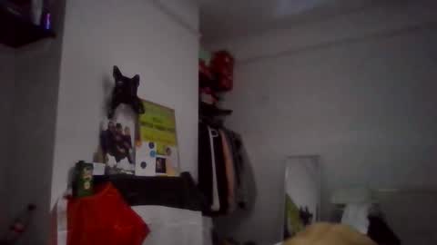 Snapshot of narcomarco14 chatting on November 2025 01:49:01 AM NarcoMarco online show from November 2025 01:49:01 AM